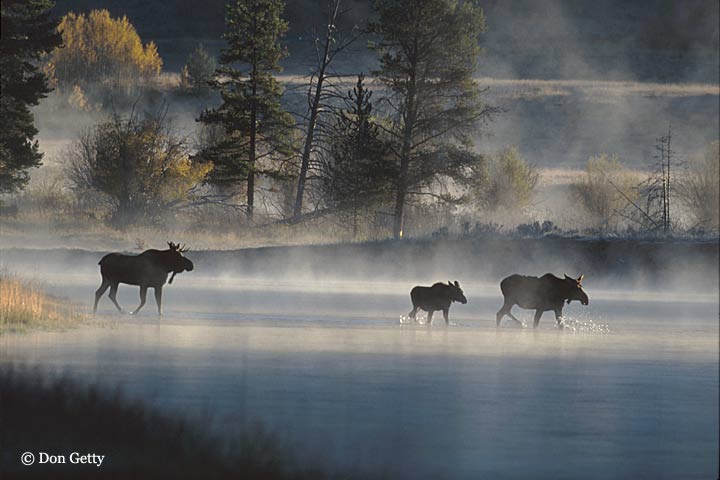 Moose River Crossing (2013)